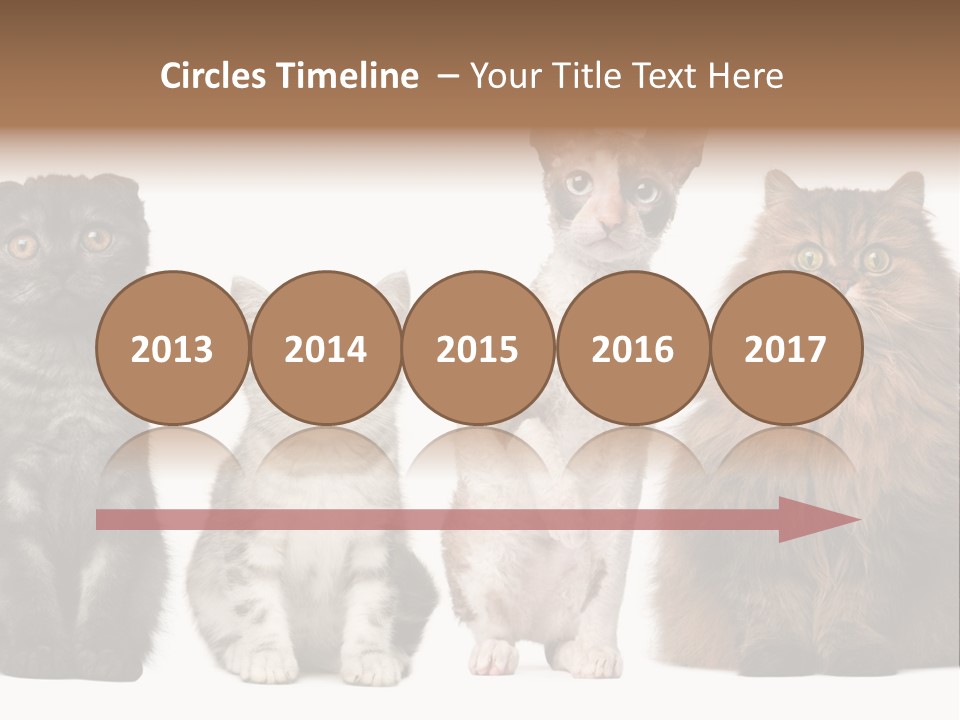 Domestic Companionship Dog PowerPoint Template