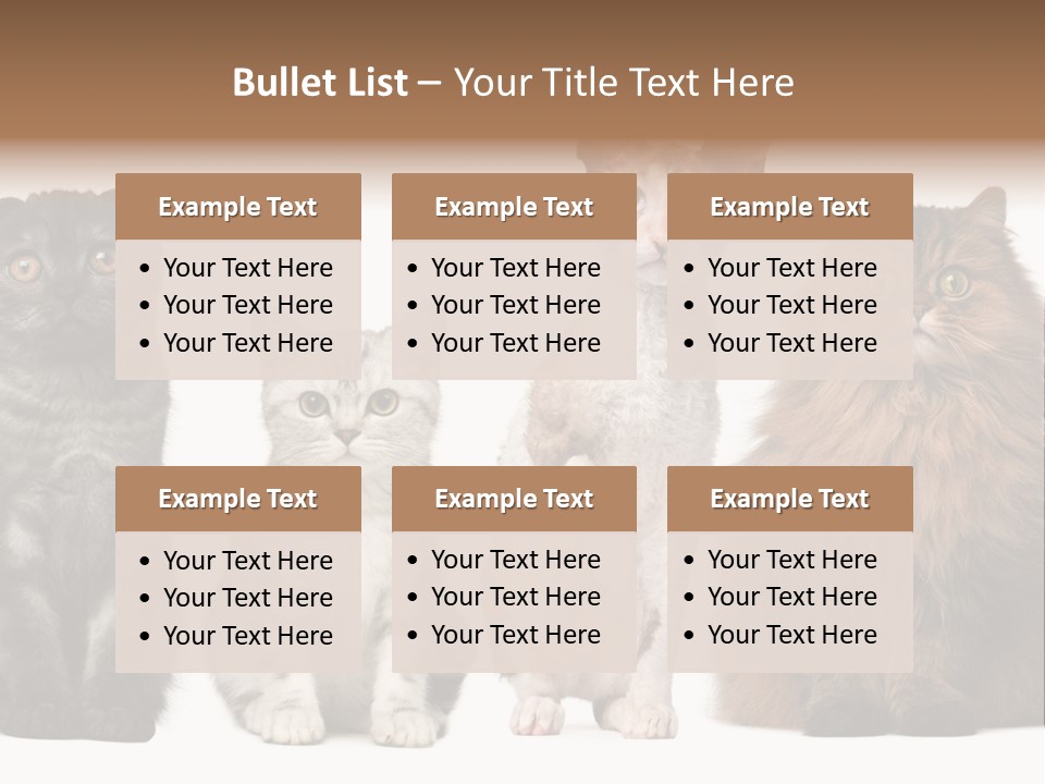 Domestic Companionship Dog PowerPoint Template