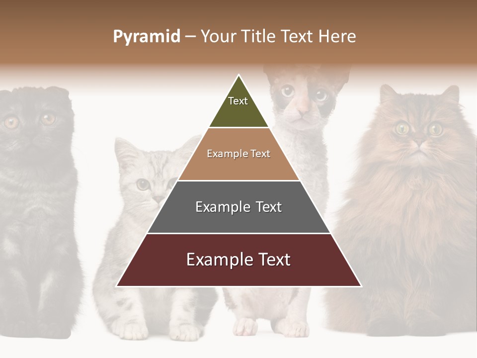 Domestic Companionship Dog PowerPoint Template