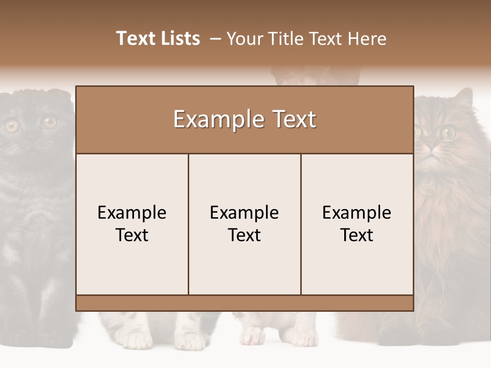 Domestic Companionship Dog PowerPoint Template