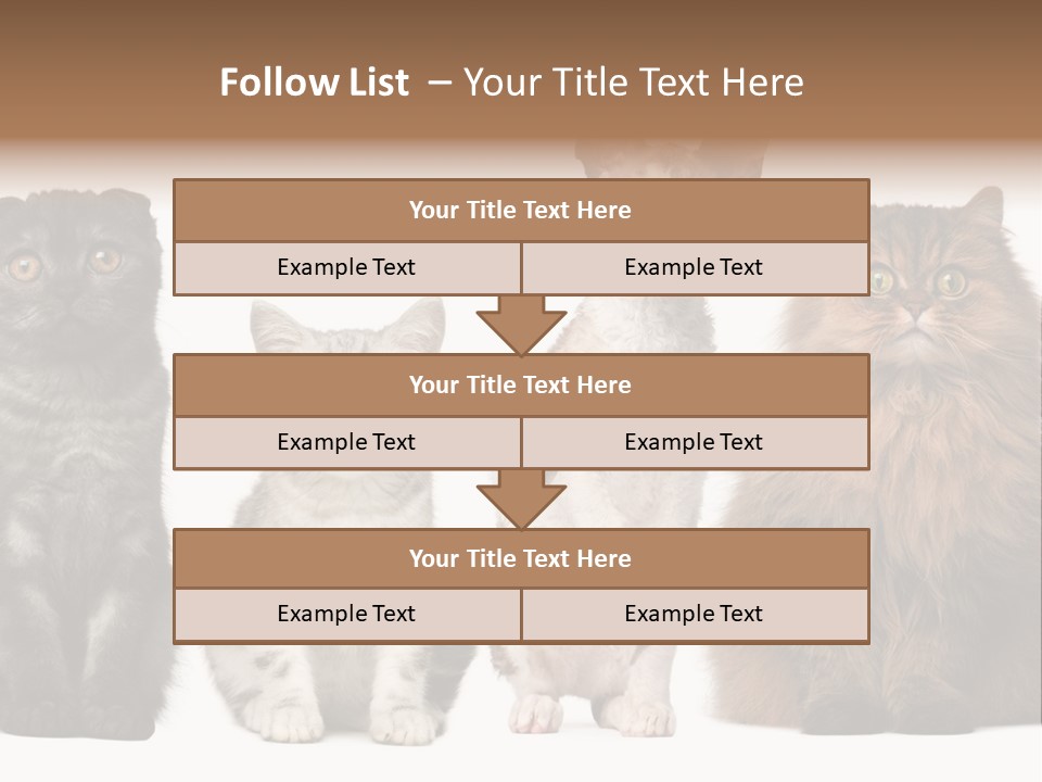 Domestic Companionship Dog PowerPoint Template