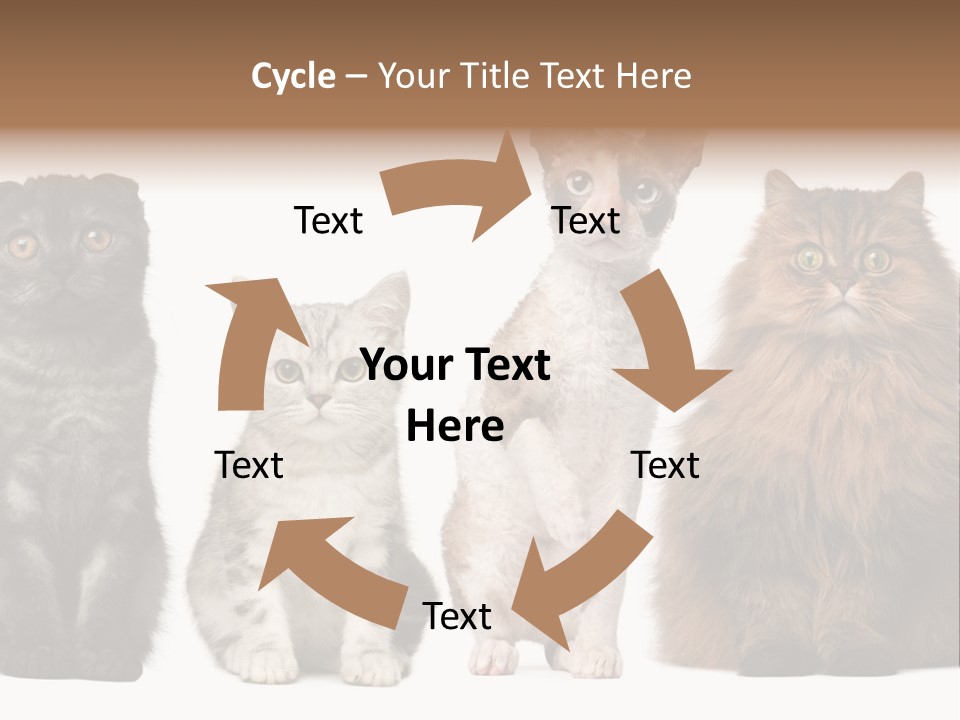 Domestic Companionship Dog PowerPoint Template