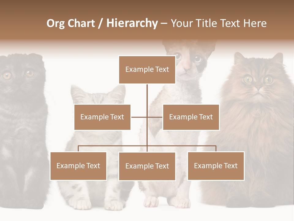 Domestic Companionship Dog PowerPoint Template