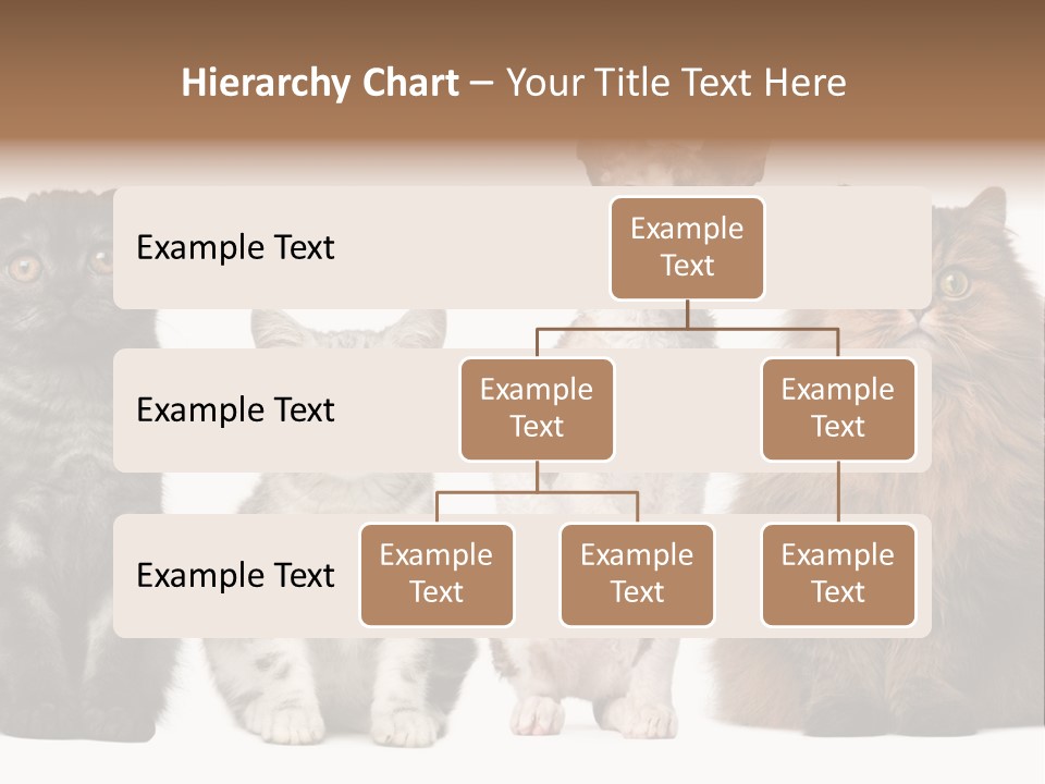 Domestic Companionship Dog PowerPoint Template