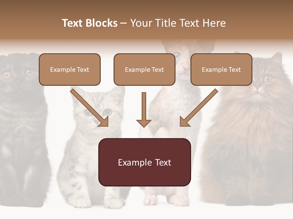 Domestic Companionship Dog PowerPoint Template