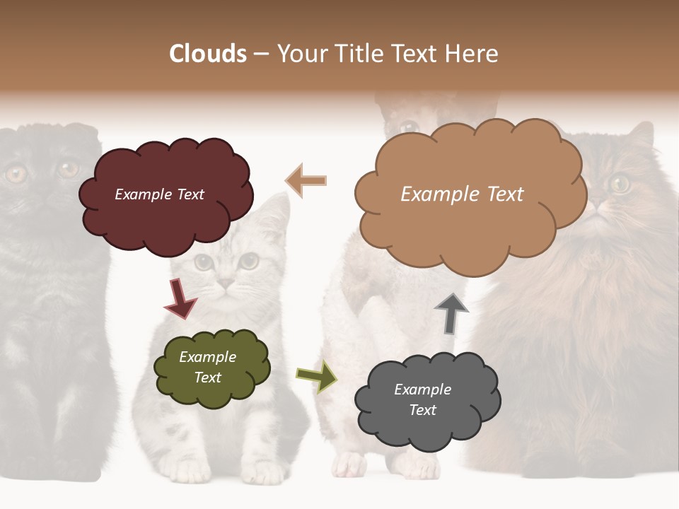 Domestic Companionship Dog PowerPoint Template