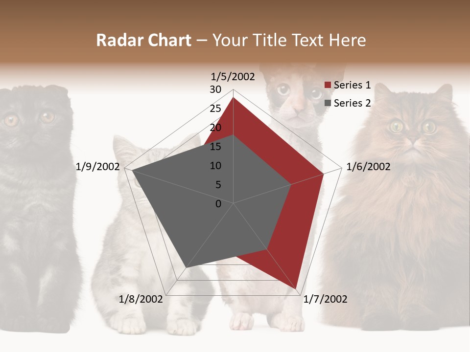 Domestic Companionship Dog PowerPoint Template