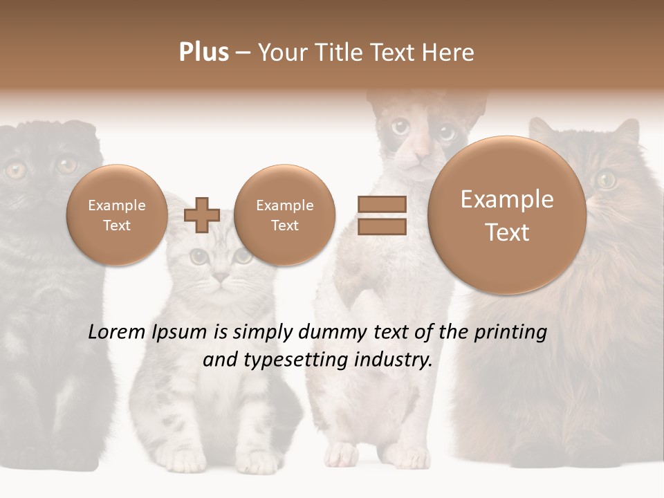 Domestic Companionship Dog PowerPoint Template