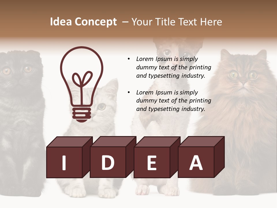 Domestic Companionship Dog PowerPoint Template