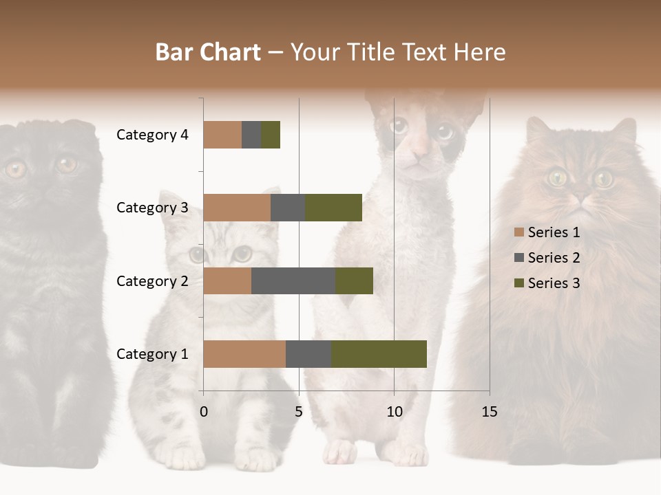 Domestic Companionship Dog PowerPoint Template