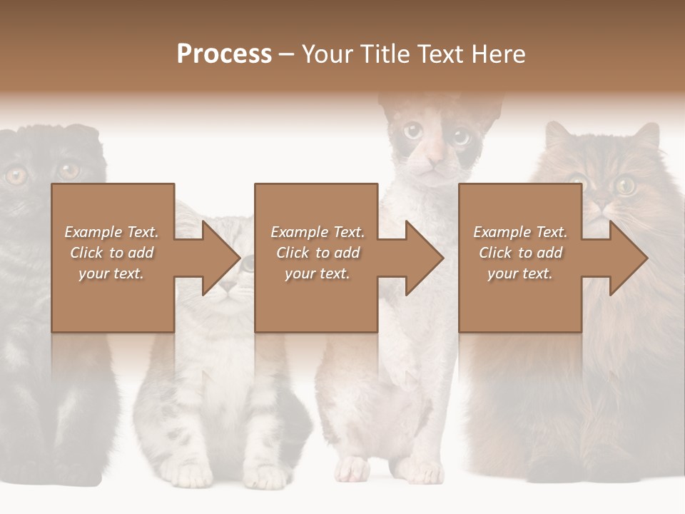 Domestic Companionship Dog PowerPoint Template