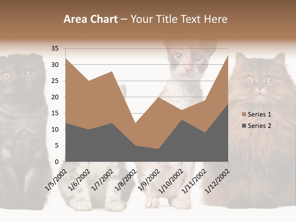 Domestic Companionship Dog PowerPoint Template