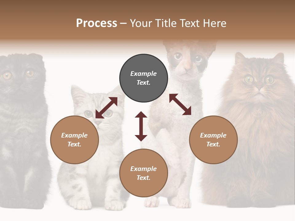 Domestic Companionship Dog PowerPoint Template