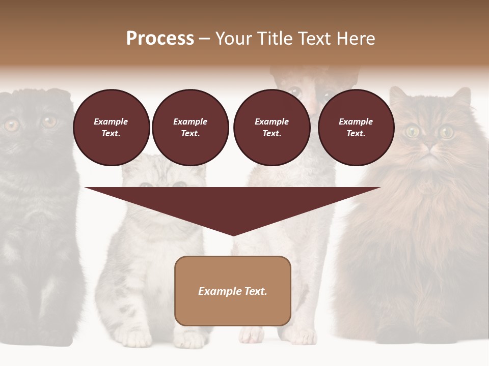 Domestic Companionship Dog PowerPoint Template