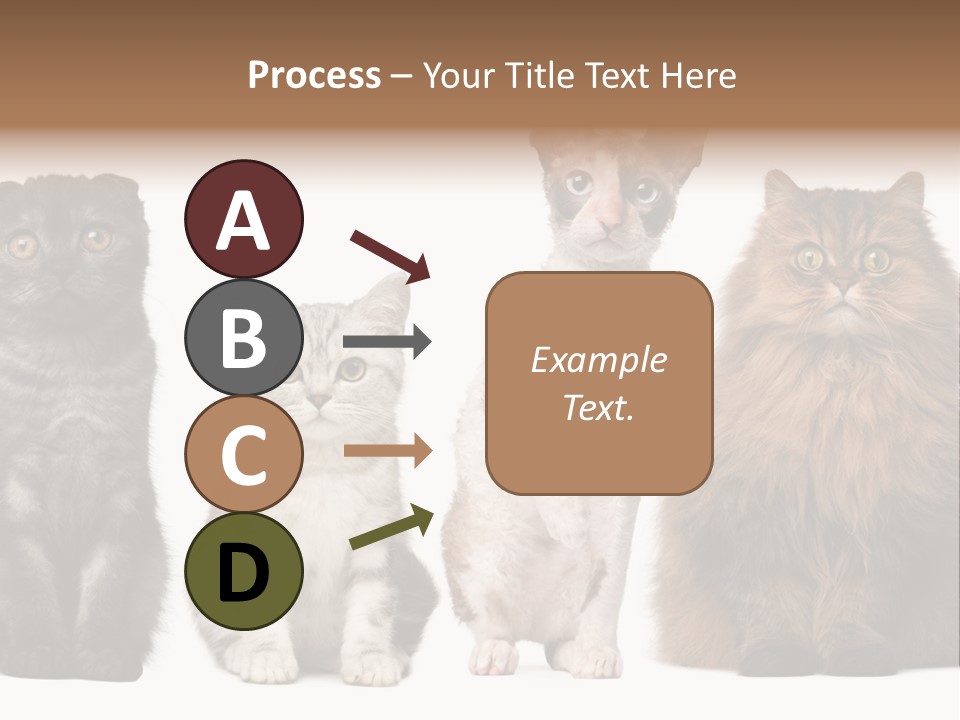 Domestic Companionship Dog PowerPoint Template