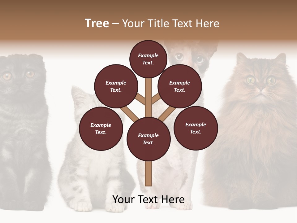 Domestic Companionship Dog PowerPoint Template