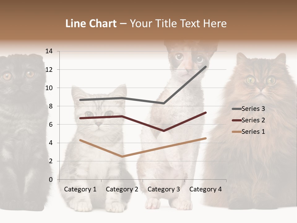 Domestic Companionship Dog PowerPoint Template