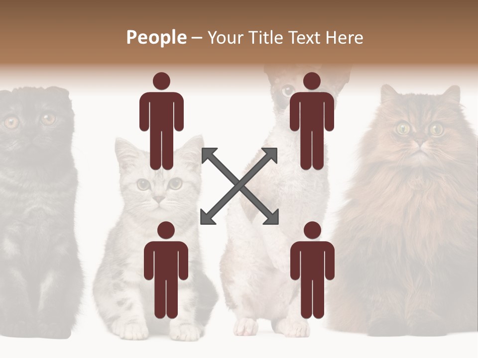 Domestic Companionship Dog PowerPoint Template