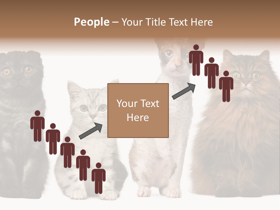 Domestic Companionship Dog PowerPoint Template