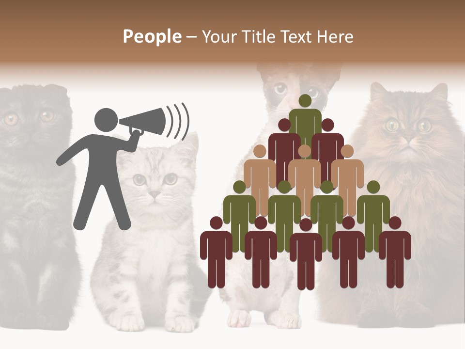 Domestic Companionship Dog PowerPoint Template