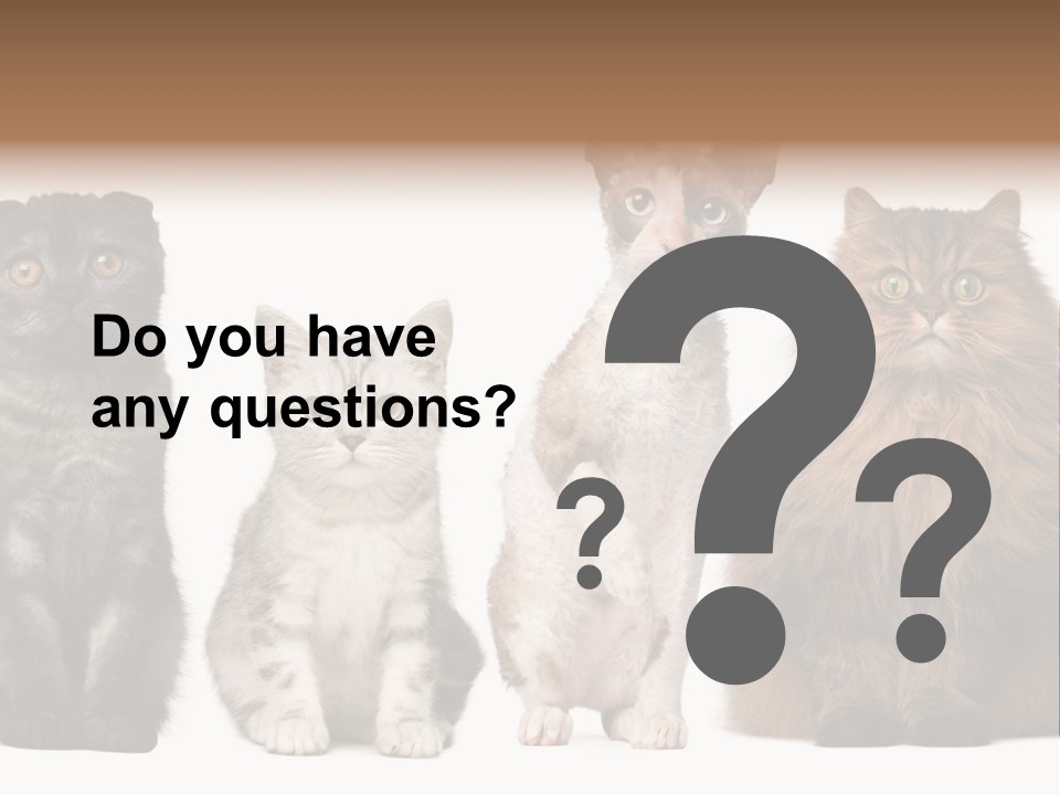 Domestic Companionship Dog PowerPoint Template