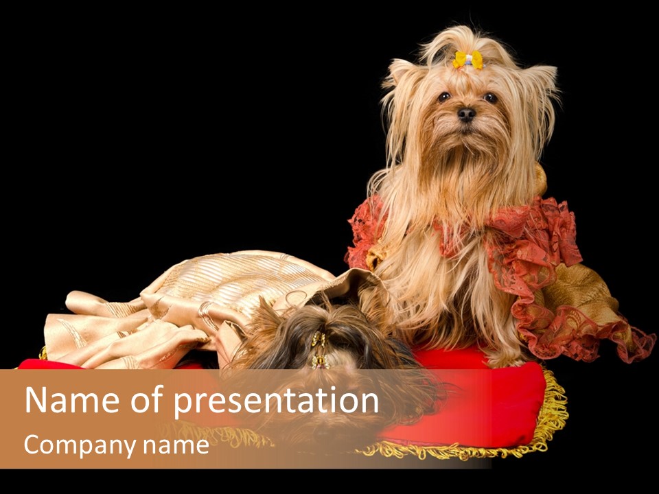 Domestic King Yorkshire PowerPoint Template