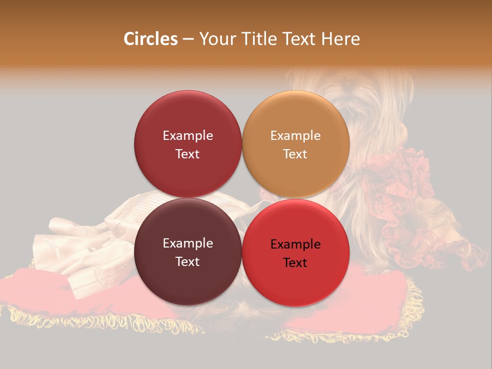 Domestic King Yorkshire PowerPoint Template