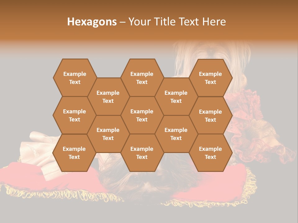 Domestic King Yorkshire PowerPoint Template