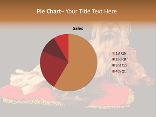 Domestic King Yorkshire PowerPoint Template