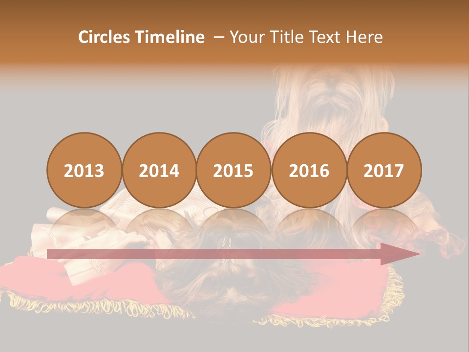 Domestic King Yorkshire PowerPoint Template