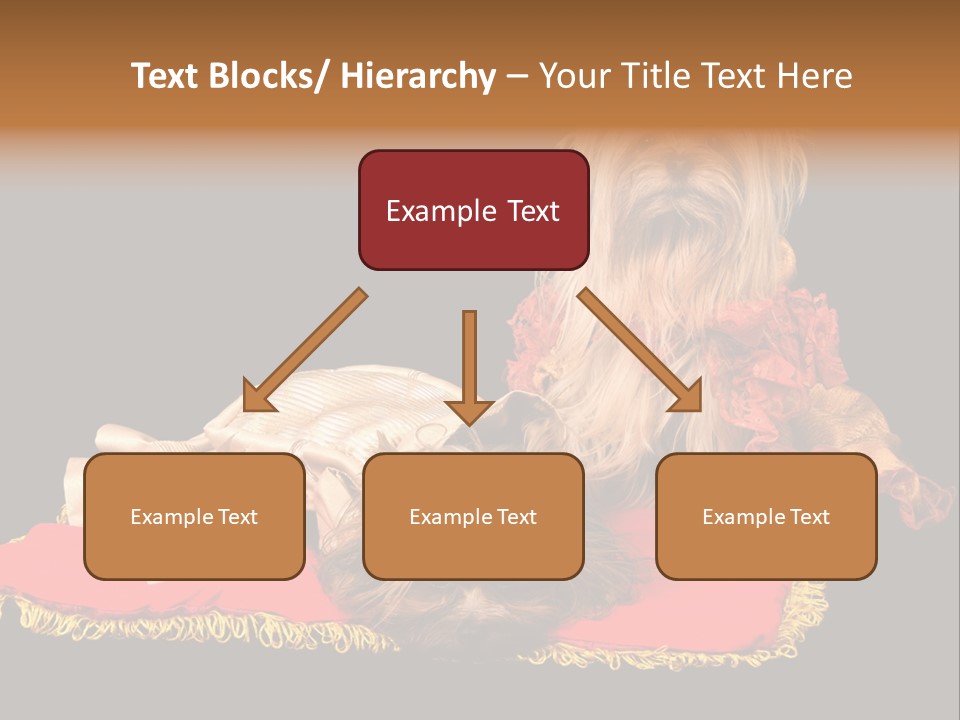 Domestic King Yorkshire PowerPoint Template