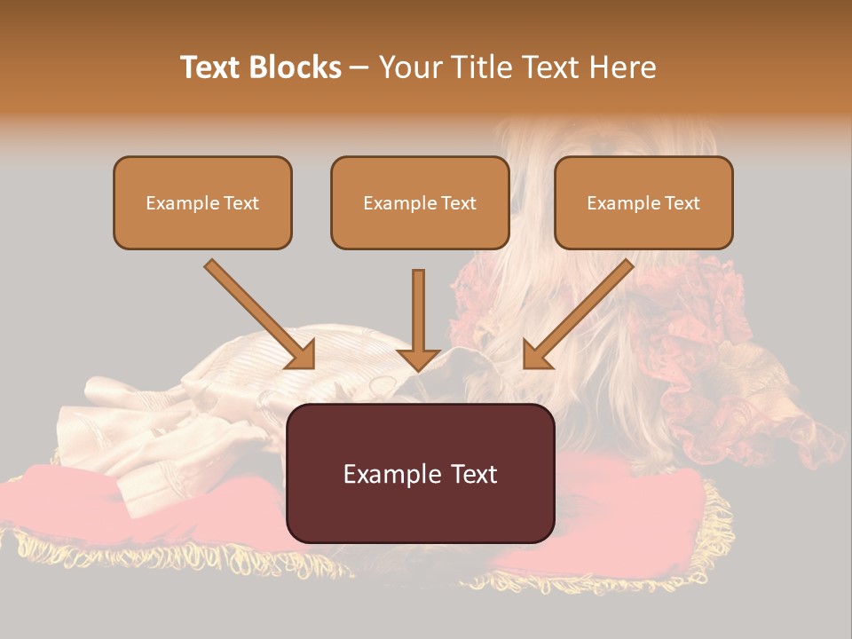 Domestic King Yorkshire PowerPoint Template
