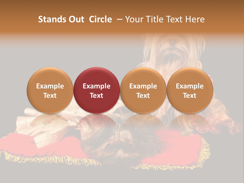 Domestic King Yorkshire PowerPoint Template