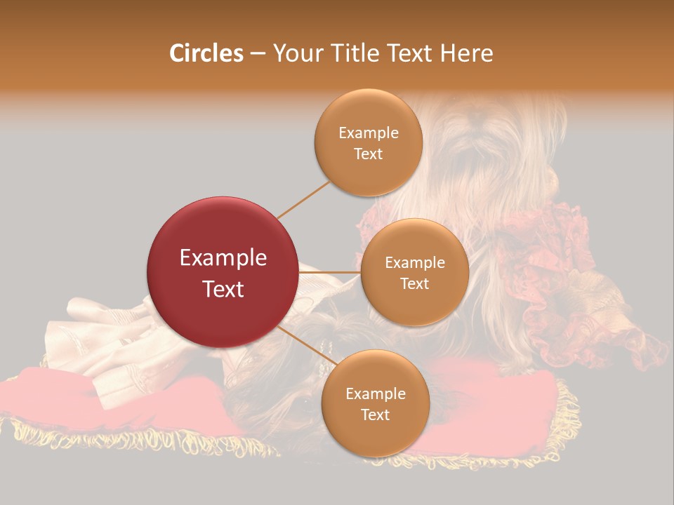 Domestic King Yorkshire PowerPoint Template