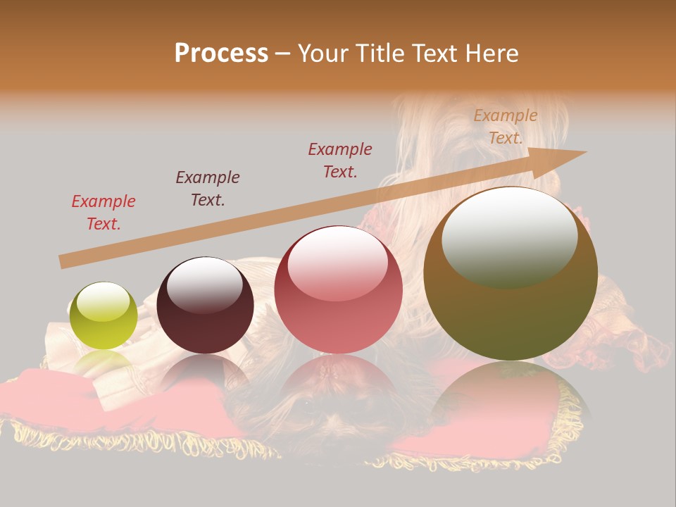 Domestic King Yorkshire PowerPoint Template