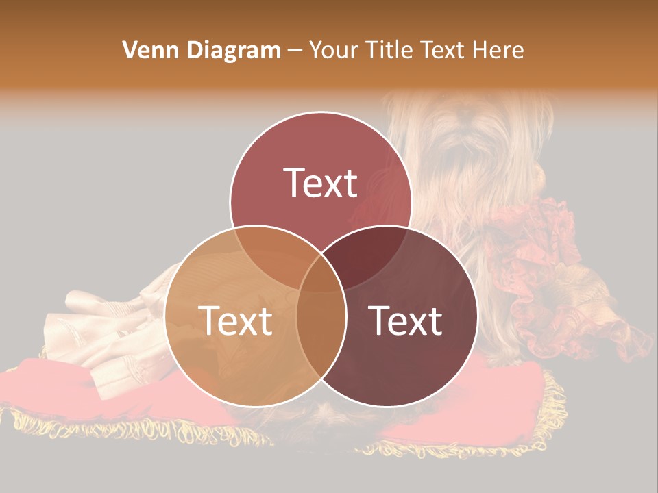 Domestic King Yorkshire PowerPoint Template