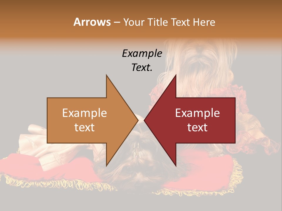 Domestic King Yorkshire PowerPoint Template