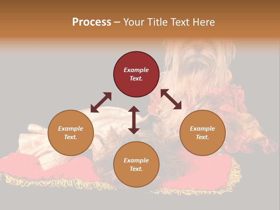 Domestic King Yorkshire PowerPoint Template