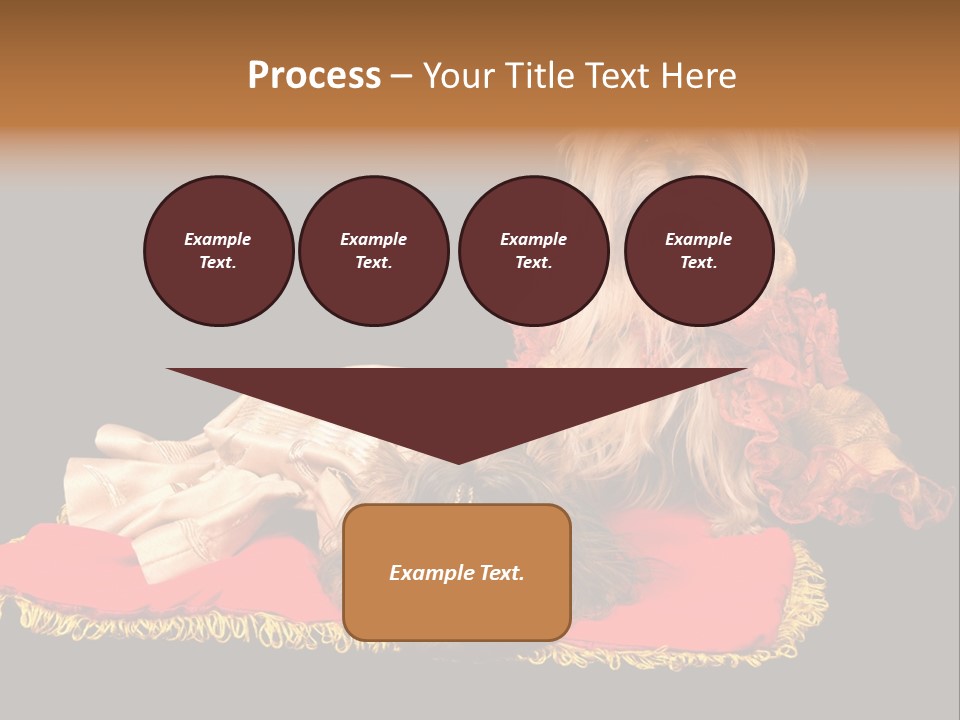 Domestic King Yorkshire PowerPoint Template