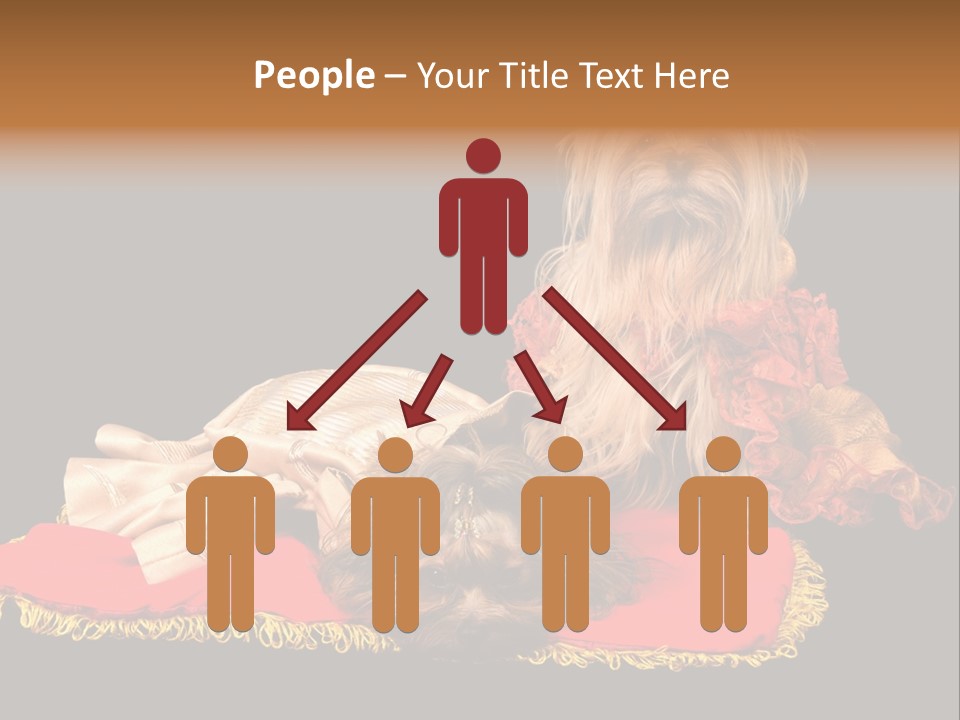 Domestic King Yorkshire PowerPoint Template