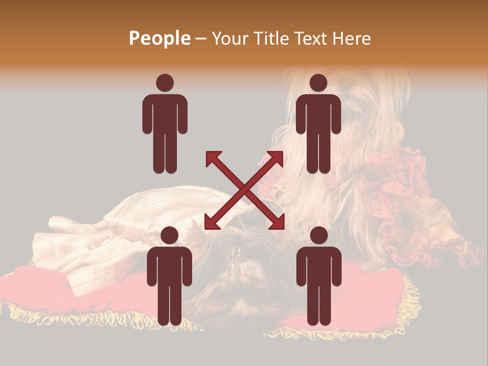 Domestic King Yorkshire PowerPoint Template