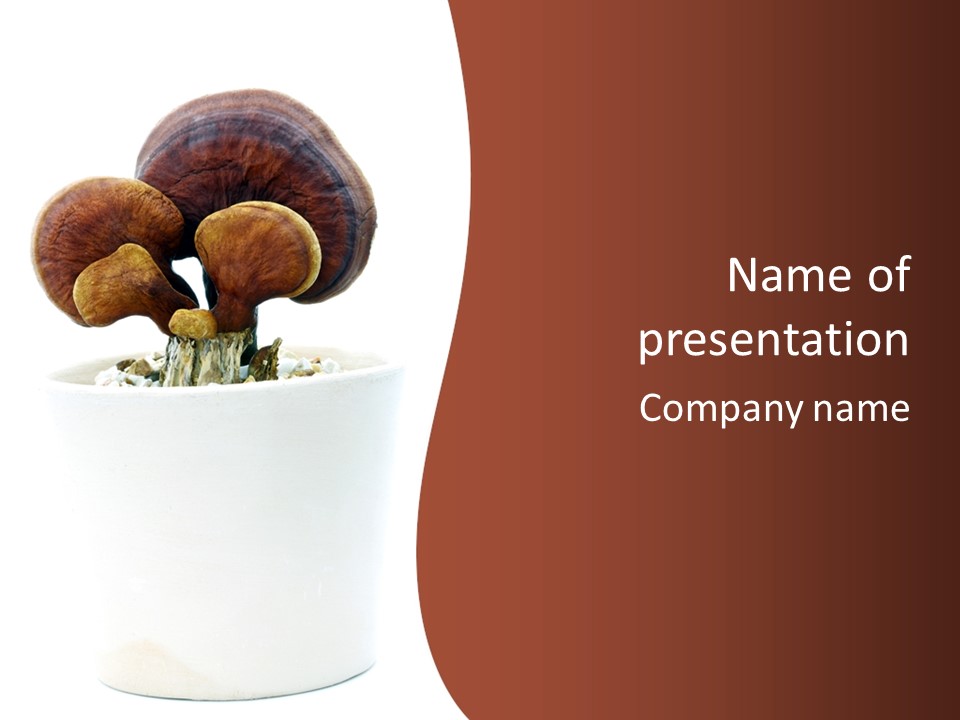 Mushroom Chinese Nature PowerPoint Template
