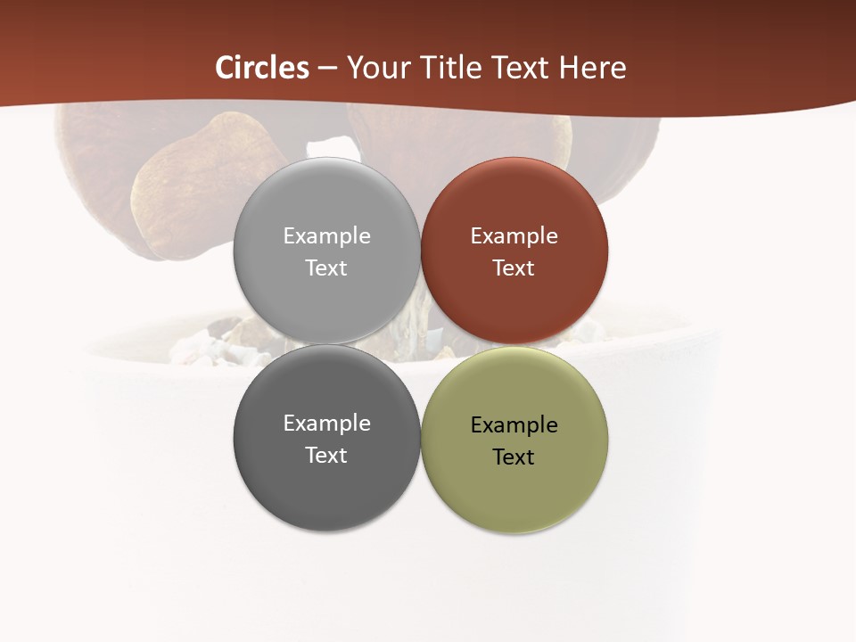 Mushroom Chinese Nature PowerPoint Template