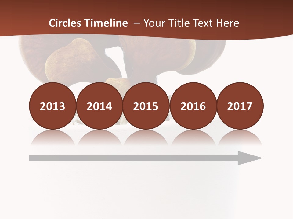 Mushroom Chinese Nature PowerPoint Template