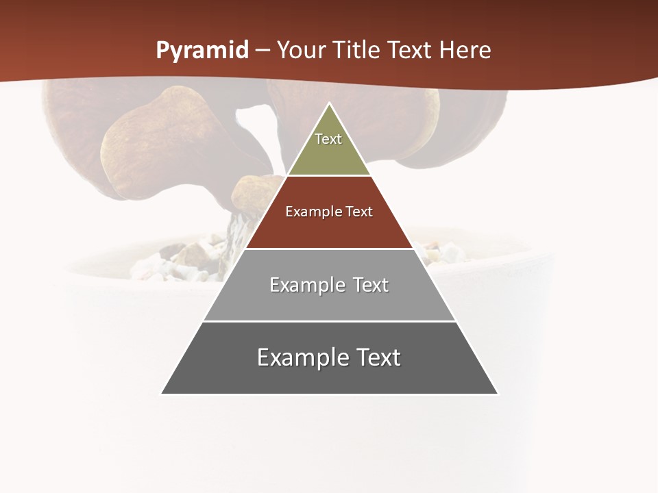 Mushroom Chinese Nature PowerPoint Template