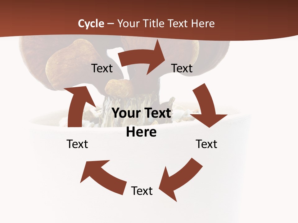 Mushroom Chinese Nature PowerPoint Template