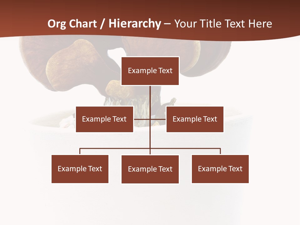 Mushroom Chinese Nature PowerPoint Template
