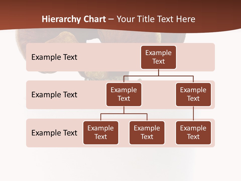 Mushroom Chinese Nature PowerPoint Template