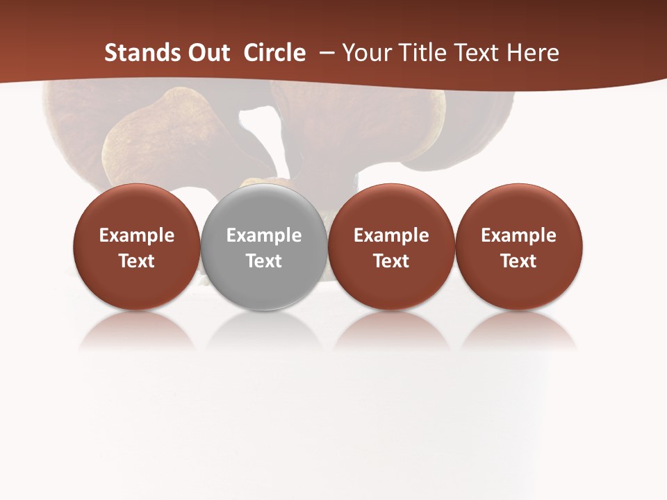 Mushroom Chinese Nature PowerPoint Template