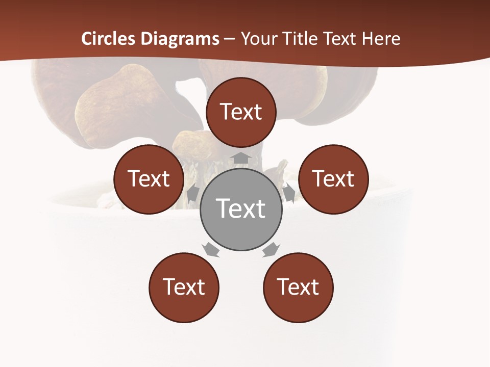 Mushroom Chinese Nature PowerPoint Template